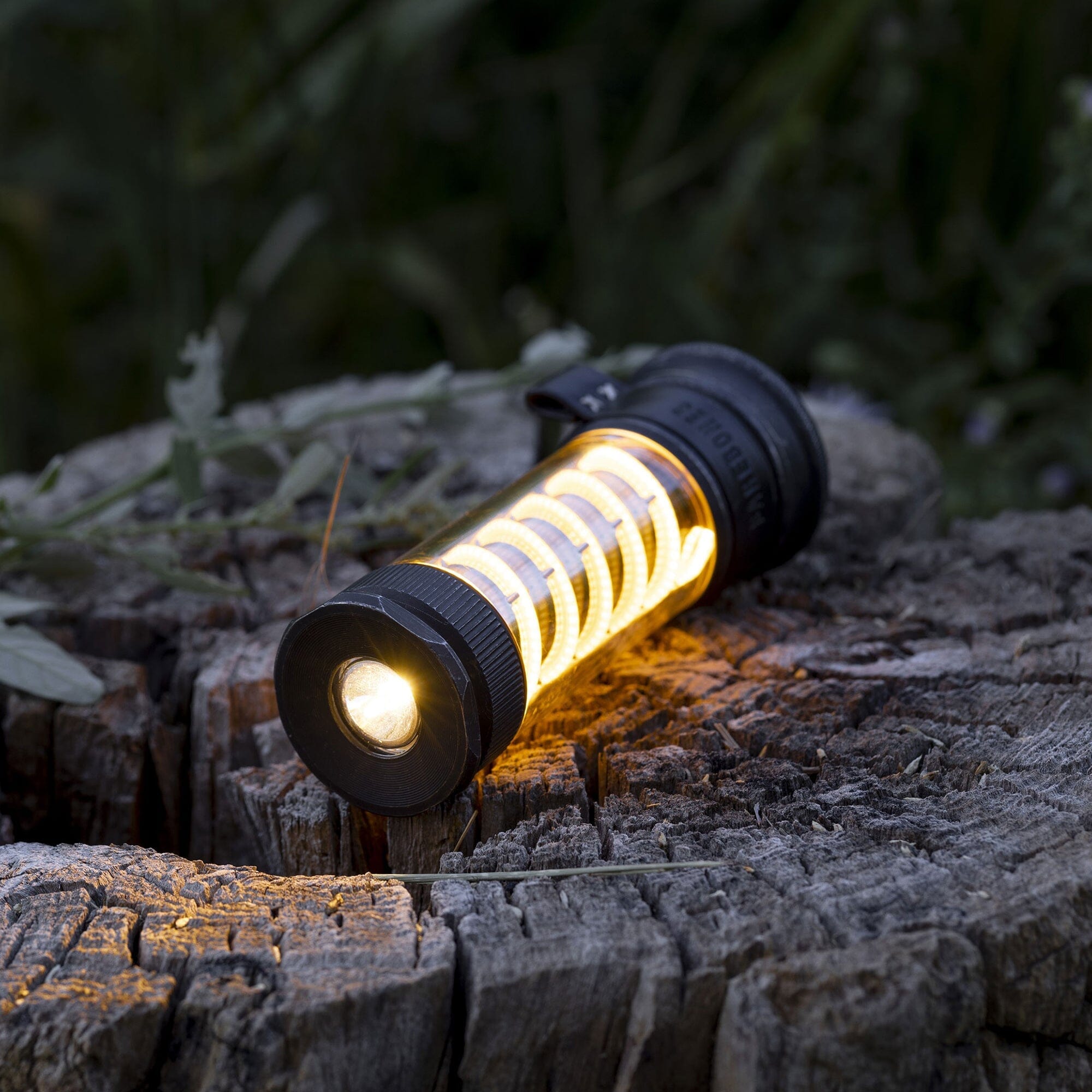 Power &amp; Light Basics Kit